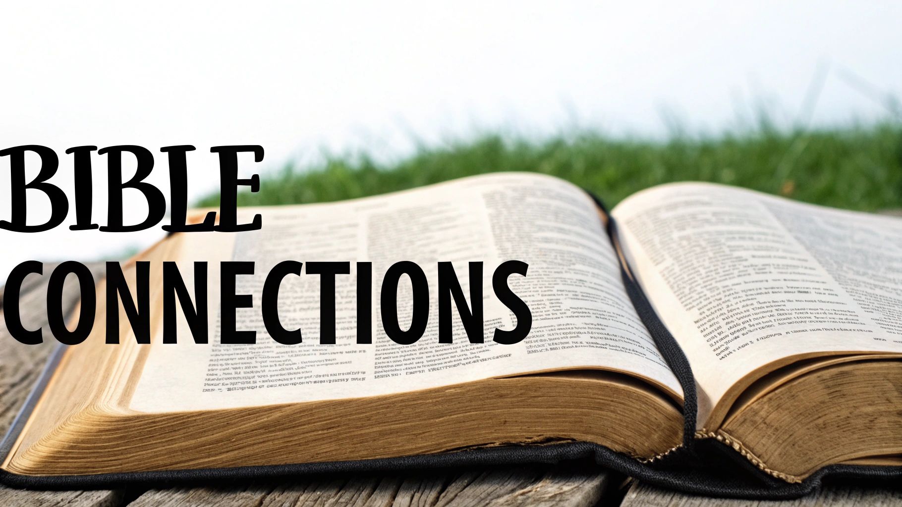 Cross Reference Bible Study