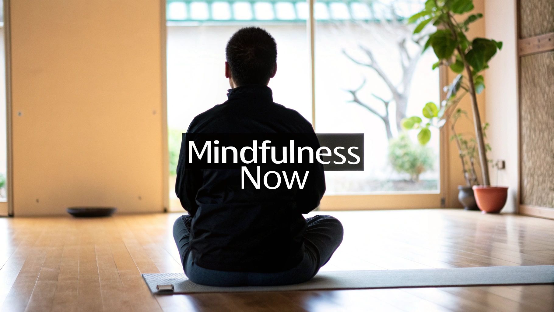 Meditation